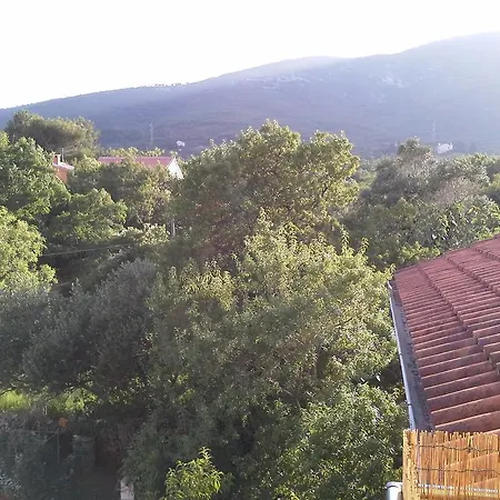 Apartament Berto Nerezine